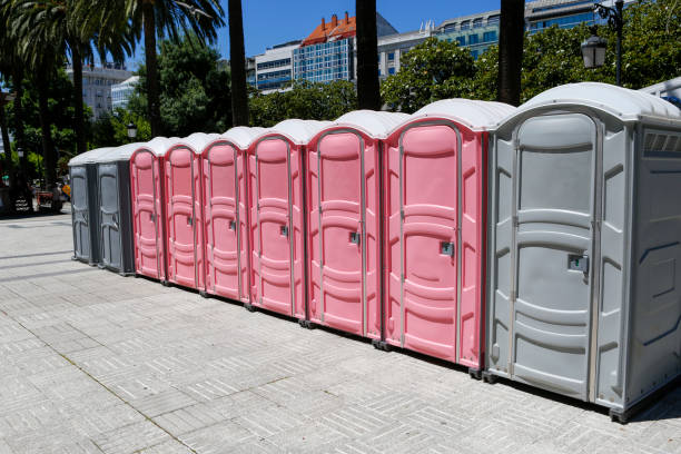 Best Portable Toilets for Disaster Relief Sites  in La Porte, IN